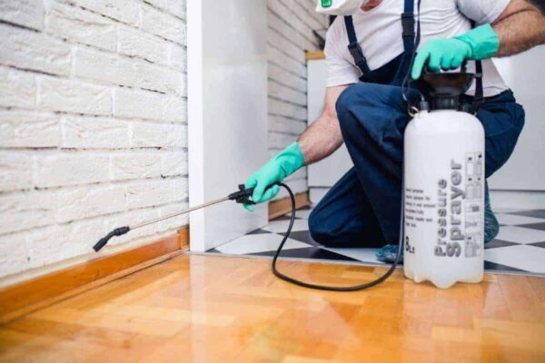 commercial pest control singapore