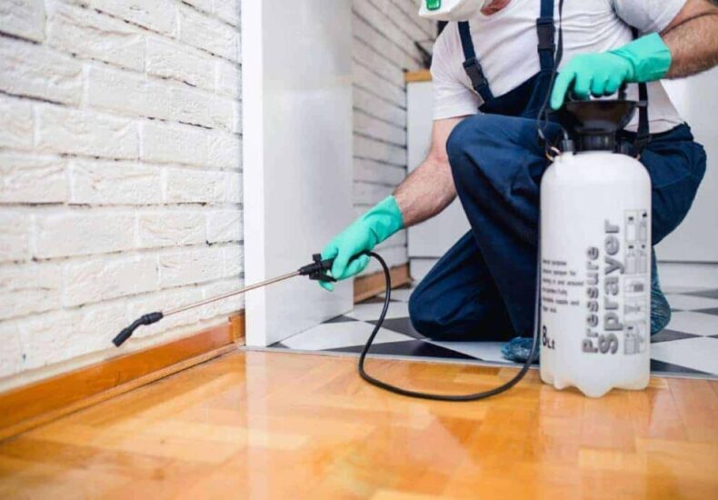 commercial pest control singapore