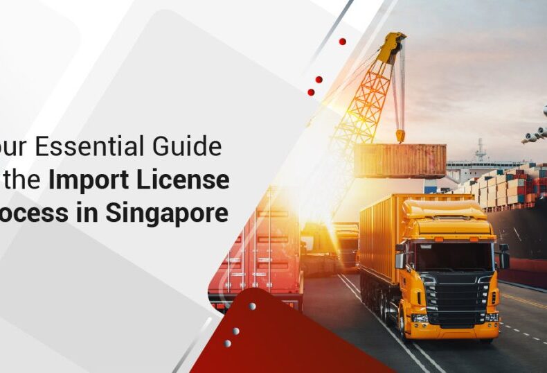 import export singapore guide