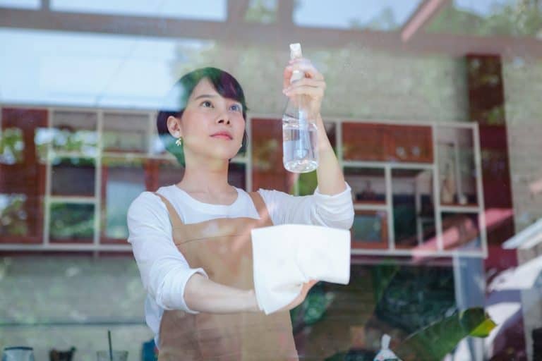 Top Maid Agency Singapore